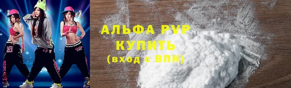крисы Магас