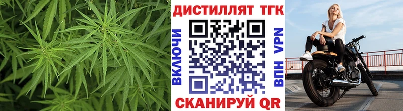 Купить где  Кологрив  ТГК концентрат 