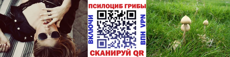 Псилоцибиновые грибы MAGIC MUSHROOMS  Купить закладки  Кологрив 